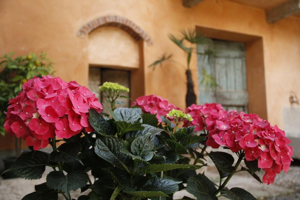 Borgo Archinto Apartman Robecco sul Naviglio Kültér fotó